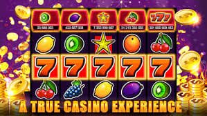 555bet